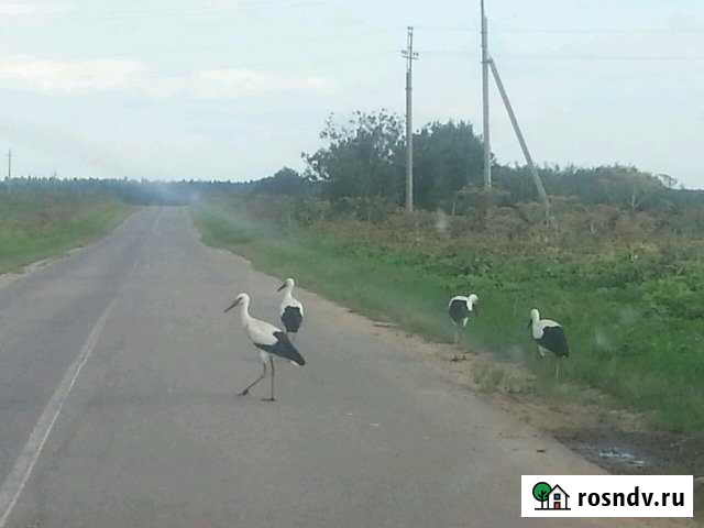 Участок ИЖС 30 сот. на продажу в Уваровке Уваровка - изображение 1