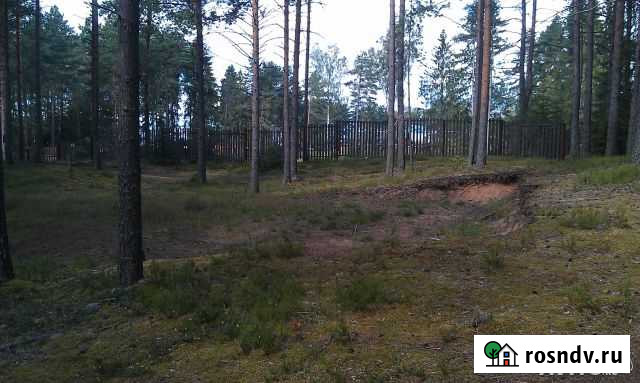 Участок ИЖС 15 сот. на продажу в Селижарово Селижарово - изображение 1