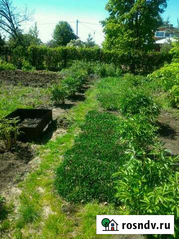 Участок СНТ, ДНП 6 сот. на продажу в Шатурторфе Шатурторф - изображение 1