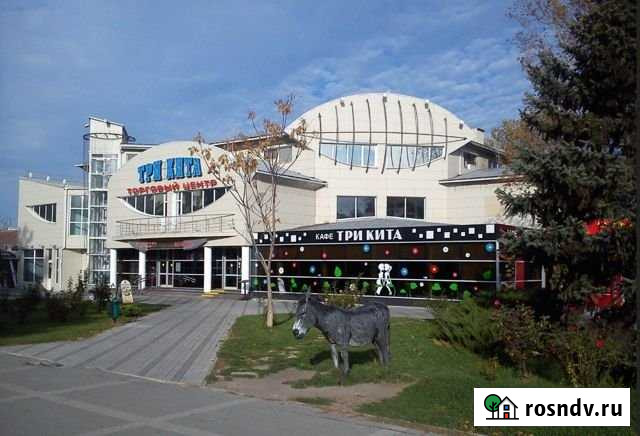 Кафе Три Кита Анапа, 371.7 кв.м. Анапа - изображение 1