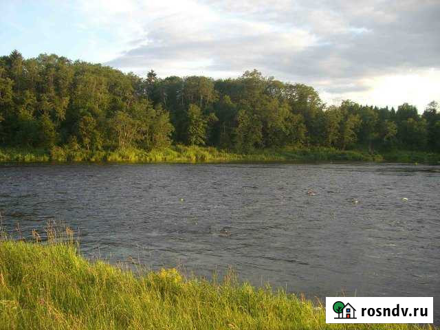 Участок ИЖС 150 сот. на продажу в Ржеве Ржев - изображение 1