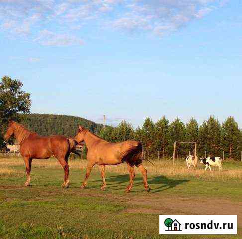 Участок ИЖС 15 сот. на продажу в Кемерово Кемерово