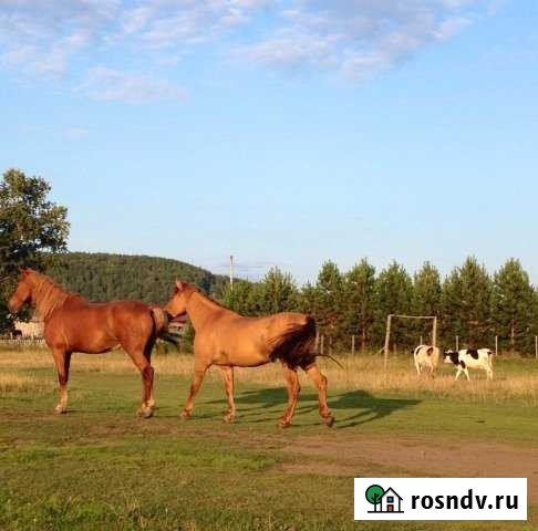 Участок ИЖС 15 сот. на продажу в Кемерово Кемерово - изображение 1