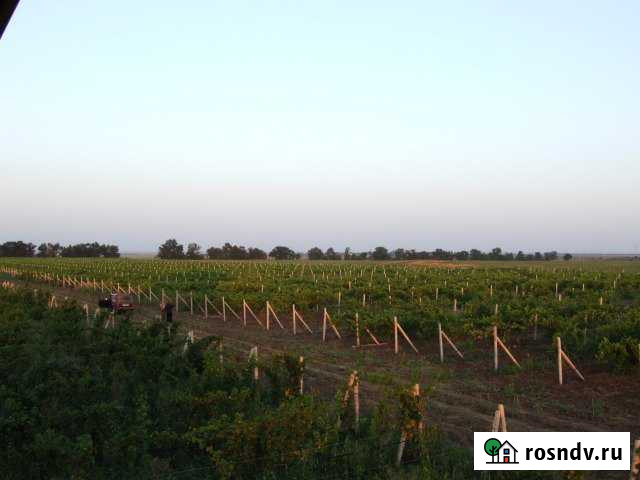 Участок СНТ, ДНП 15600 сот. на продажу в Анапе Анапа - изображение 1