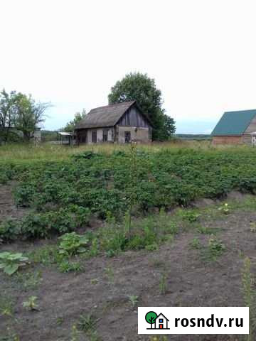 Дом 30 м² на участке 22 сот. на продажу в Жуковке Жуковка - изображение 1