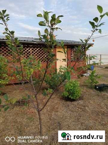 Участок СНТ, ДНП 18 сот. на продажу в Раменском Раменское - изображение 1