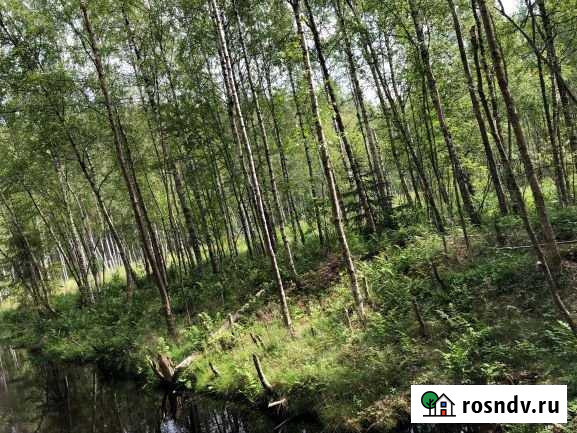 Участок СНТ, ДНП 18 сот. на продажу в Саперном Саперное - изображение 1