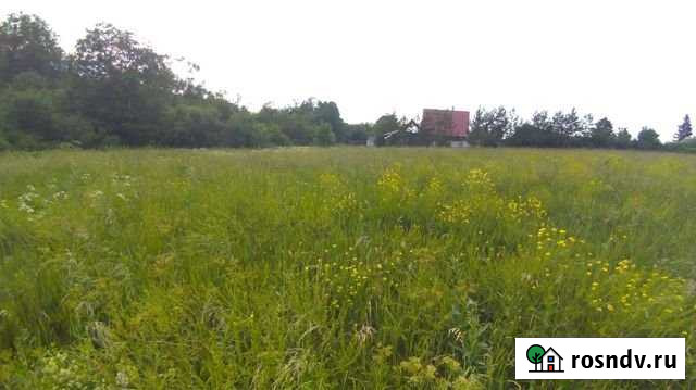 Участок ИЖС 15 сот. на продажу в Волосово Волосово - изображение 1