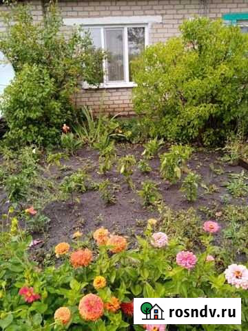 3-комнатная квартира, 61 м², 1/1 эт. на продажу в Петухово Петухово - изображение 1