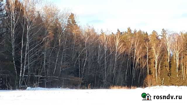 Участок ИЖС 10 сот. на продажу в Михнево Михнево - изображение 1