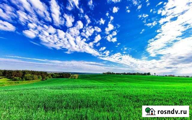 Участок СНТ, ДНП 2000 сот. на продажу в Кагальницкой Кагальницкая - изображение 1