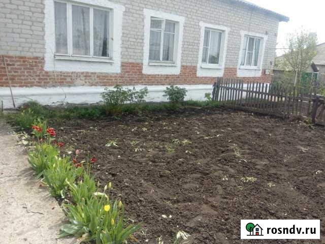 Дом 86 м² на участке 15 сот. на продажу в Эртиле Эртиль - изображение 1