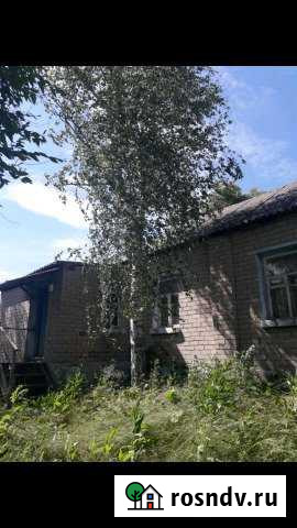 Дом 64 м² на участке 10 сот. на продажу в Репьевке Репьевка - изображение 1