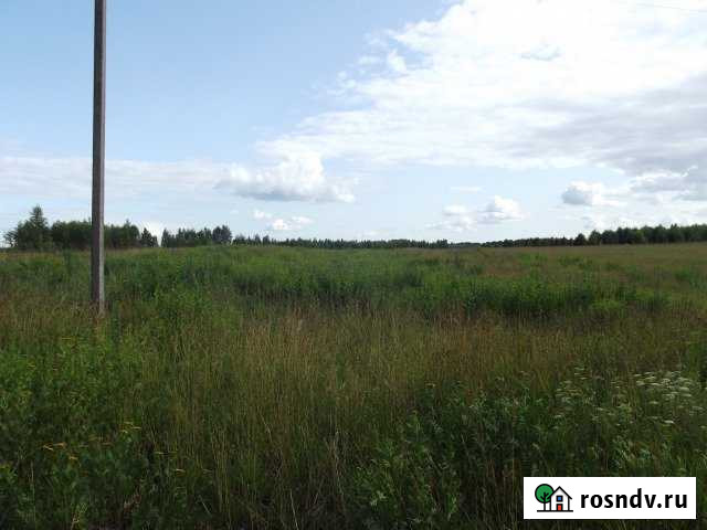 Участок ИЖС 48 сот. на продажу в Ржеве Ржев - изображение 1