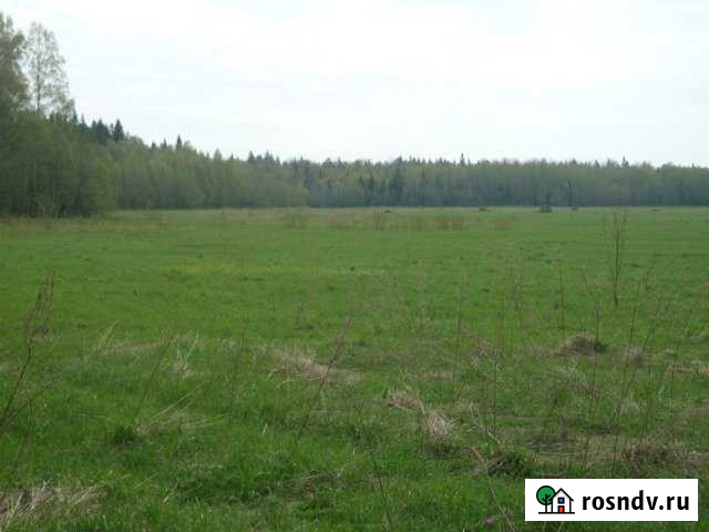 Участок СНТ, ДНП 443 сот. на продажу в Красной Долине Красная Долина - изображение 1