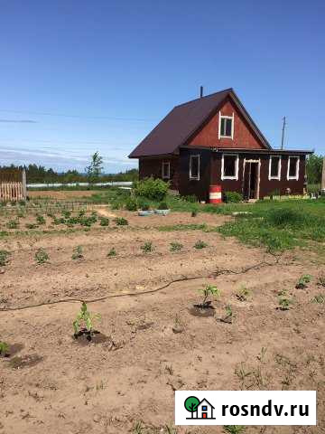 Участок СНТ, ДНП 12 сот. на продажу в Чайковском Чайковский - изображение 1