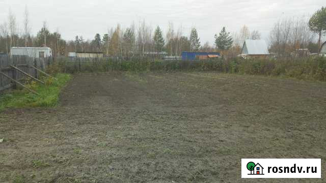 Участок СНТ, ДНП 6 сот. на продажу в Высоком Ханты-Мансийского АО Высокий - изображение 1