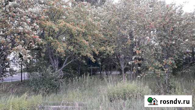 Участок ИЖС 30 сот. на продажу в Давыдово Давыдово - изображение 1