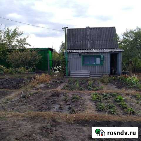 Дача 20 м² на участке 5.1 сот. на продажу в Воронеже Воронеж - изображение 1