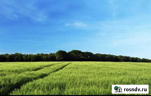 Участок СНТ, ДНП 1000 сот. на продажу в Бессоновке Пензенской области Бессоновка - изображение 1