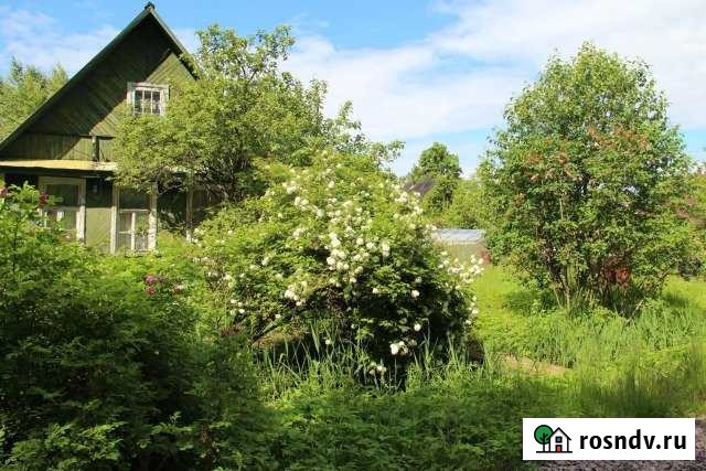 Участок СНТ, ДНП 6 сот. на продажу в Санкт-Петербурге Санкт-Петербург - изображение 1