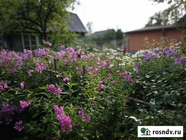 Участок СНТ, ДНП 6 сот. на продажу в Санкт-Петербурге Санкт-Петербург - изображение 1