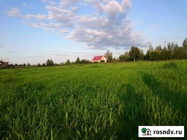 Участок СНТ, ДНП 56 сот. на продажу в Глебовском Глебовский - изображение 1