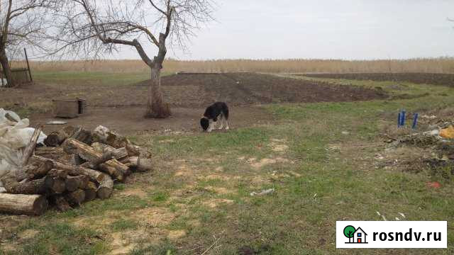 Дом 34 м² на участке 34 сот. на продажу в Новониколаевской Новониколаевская - изображение 1