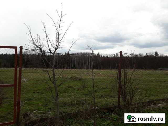 Участок СНТ, ДНП 147 сот. на продажу в Красногорске Московской области Красногорск - изображение 1