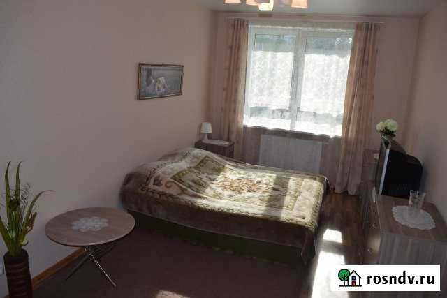 1-комнатная квартира, 43 м², 4/25 эт. в аренду посуточно в Нижнем Новгороде Нижний Новгород - изображение 1