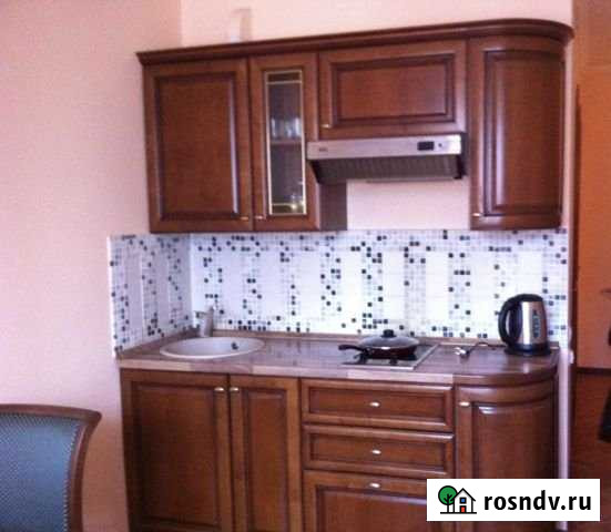 1-комнатная квартира, 42 м², 6/9 эт. в аренду на длительный срок в Пироговском Пироговский - изображение 1