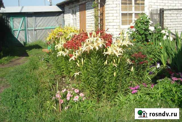 Дом 45 м² на участке 6.1 сот. на продажу в Мулловке Мулловка - изображение 1