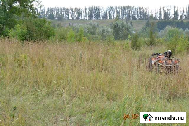 Участок ИЖС 20 сот. на продажу в Новой Усмани Новая Усмань - изображение 1