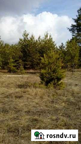 Участок ИЖС 10 сот. на продажу в Нововоронеже Нововоронеж - изображение 1