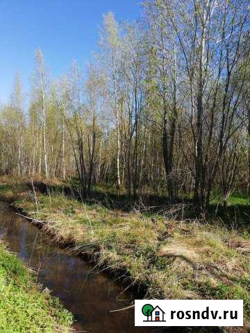 Участок СНТ, ДНП 12 сот. на продажу в Санкт-Петербурге Санкт-Петербург - изображение 1