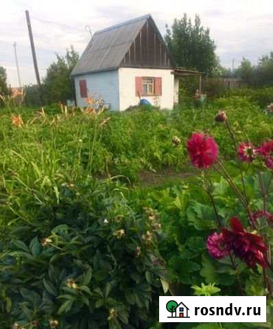 Участок СНТ, ДНП 9 сот. на продажу в Копейске Копейск - изображение 1