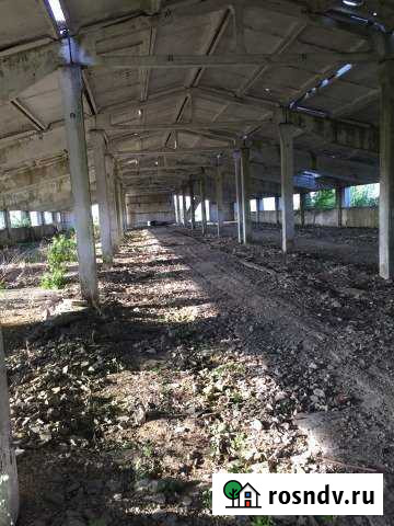 Участок СНТ, ДНП 460 сот. на продажу в Добром Доброе - изображение 1