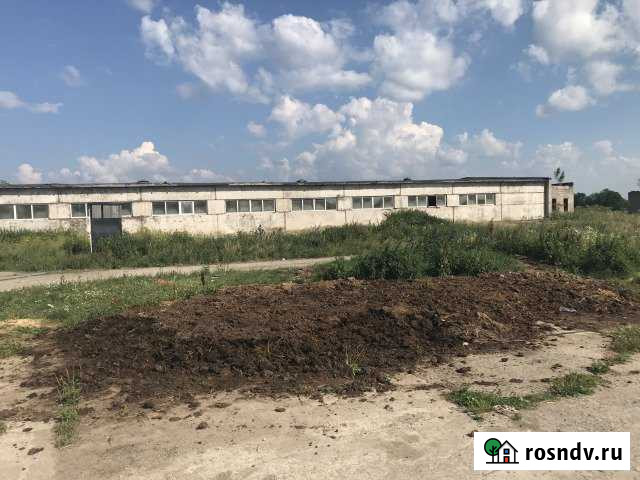 Коровники от 1000 кв.м. Гатчинский р-н Сиверский - изображение 1