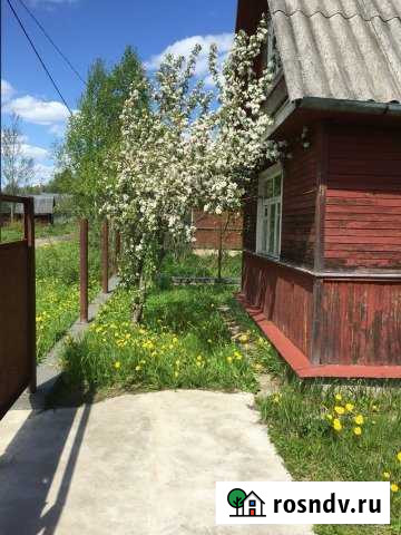 Дача 40 м² на участке 20 сот. на продажу в Санкт-Петербурге Санкт-Петербург - изображение 1