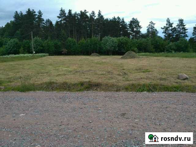 Участок СНТ, ДНП 26 сот. на продажу в Песочном Песочное - изображение 1