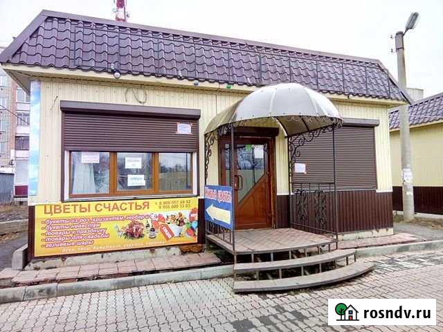 Павильон Шумиха - изображение 1