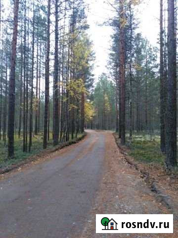 Участок СНТ, ДНП 8 сот. на продажу в Кондопоге Кондопога - изображение 1