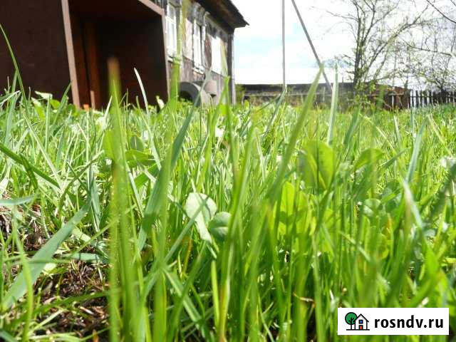 Участок ИЖС 26 сот. на продажу в Сосновском Сосновское - изображение 1