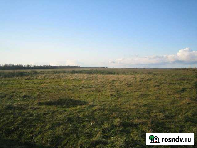 Участок ИЖС 660 сот. на продажу в Шимске Шимск - изображение 1