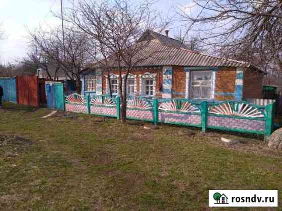 Дом 64 м² на участке 56 сот. на продажу в Борисовке Борисовка