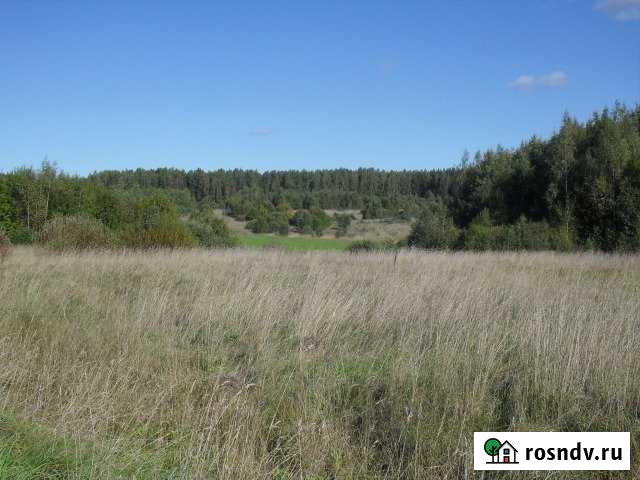 Участок ИЖС 45 сот. на продажу в Печорах Печоры - изображение 1