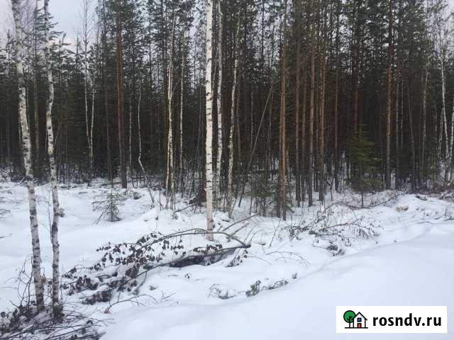 Участок СНТ, ДНП 6 сот. на продажу в Нягани Нягань - изображение 1