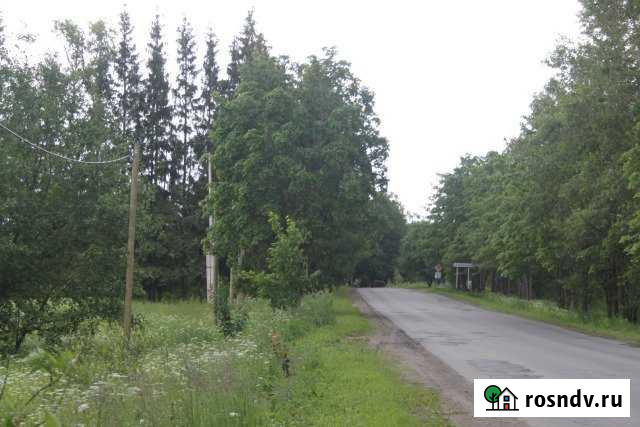 Участок ИЖС 16 сот. на продажу в Сиверском Сиверский - изображение 1