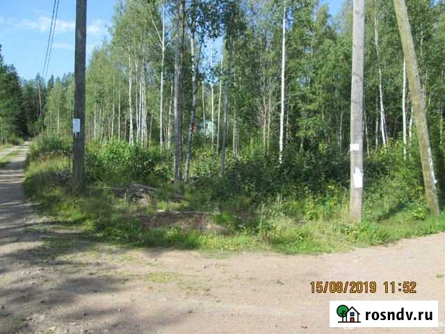 Участок СНТ, ДНП 10 сот. на продажу в Гаврилово Гаврилово - изображение 1