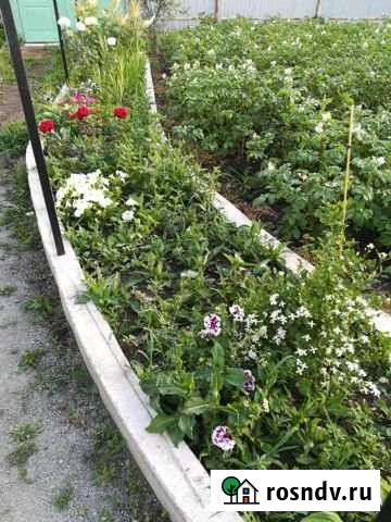 Дача 50 м² на участке 12 сот. на продажу в Аргаяше Аргаяш - изображение 1